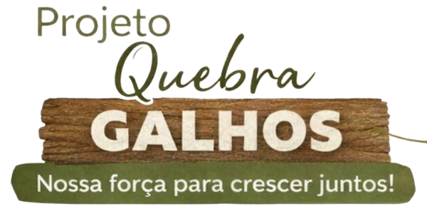 Projeto Quebra Galhos