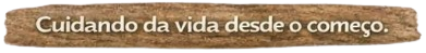 Projeto Semente Detalhe